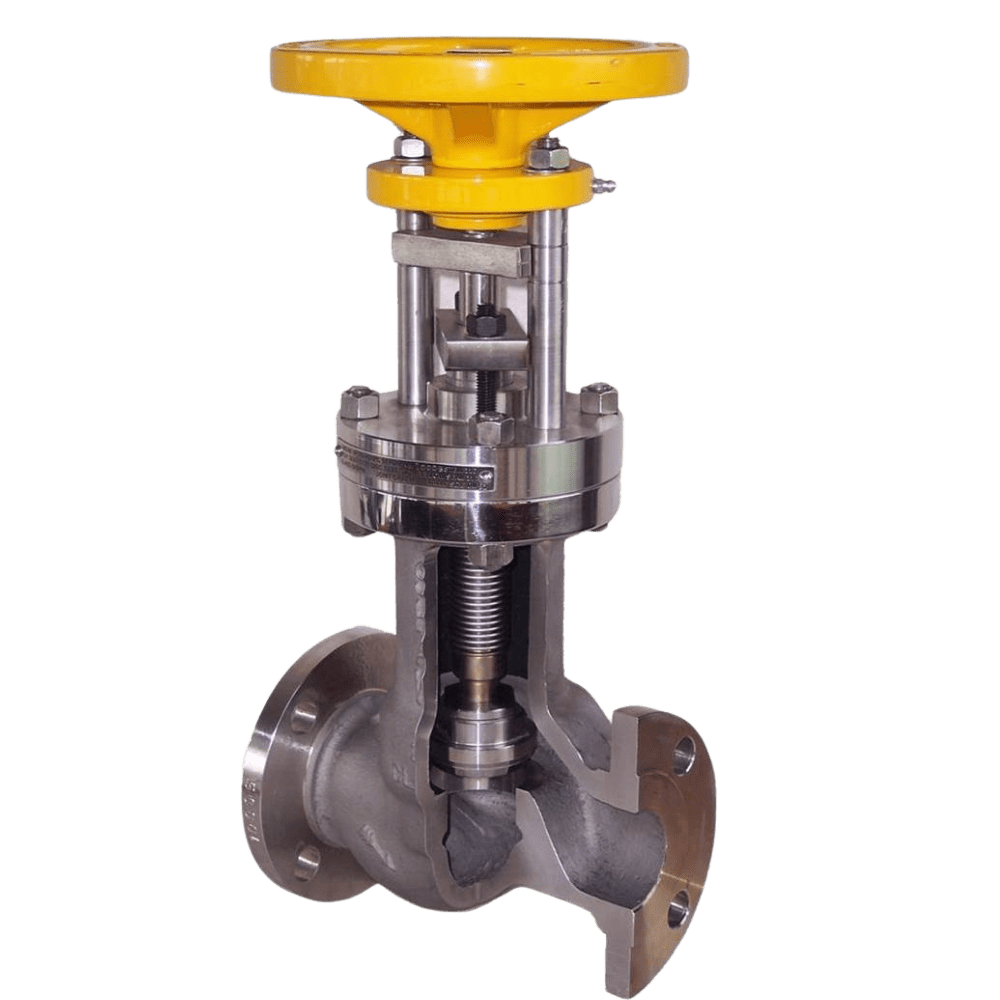 HCN Accessible Bellows Sealed Globe Valves