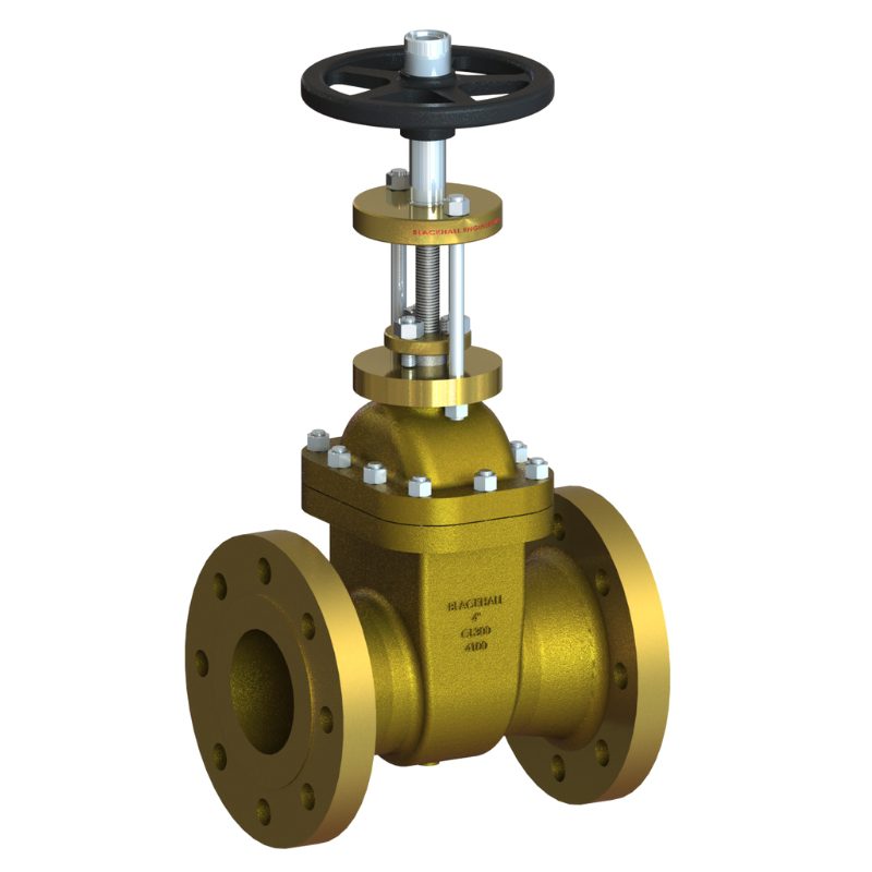 Series 4100 Gate Valves