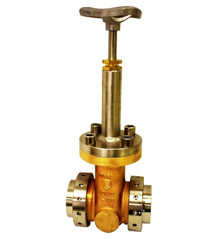 Cryogenic Gate Valves