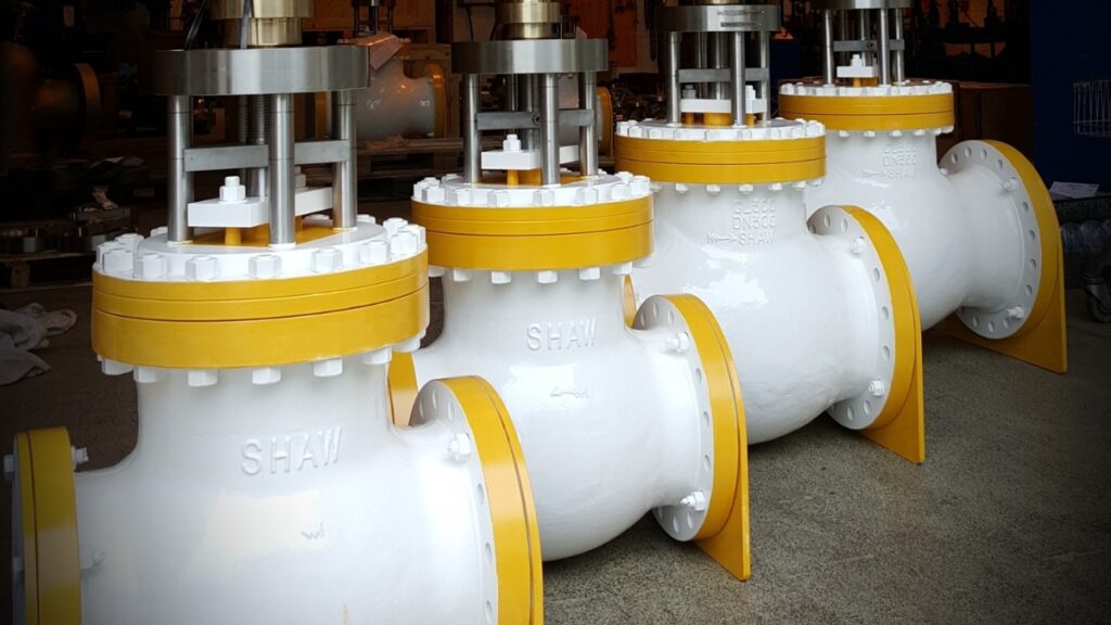 Protecting Industry and the People of Corpus Christi with Zero-Emission Shaw Valves