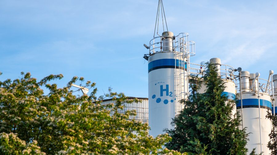 The Importance of Hydrogen: A Sustainable Perspective