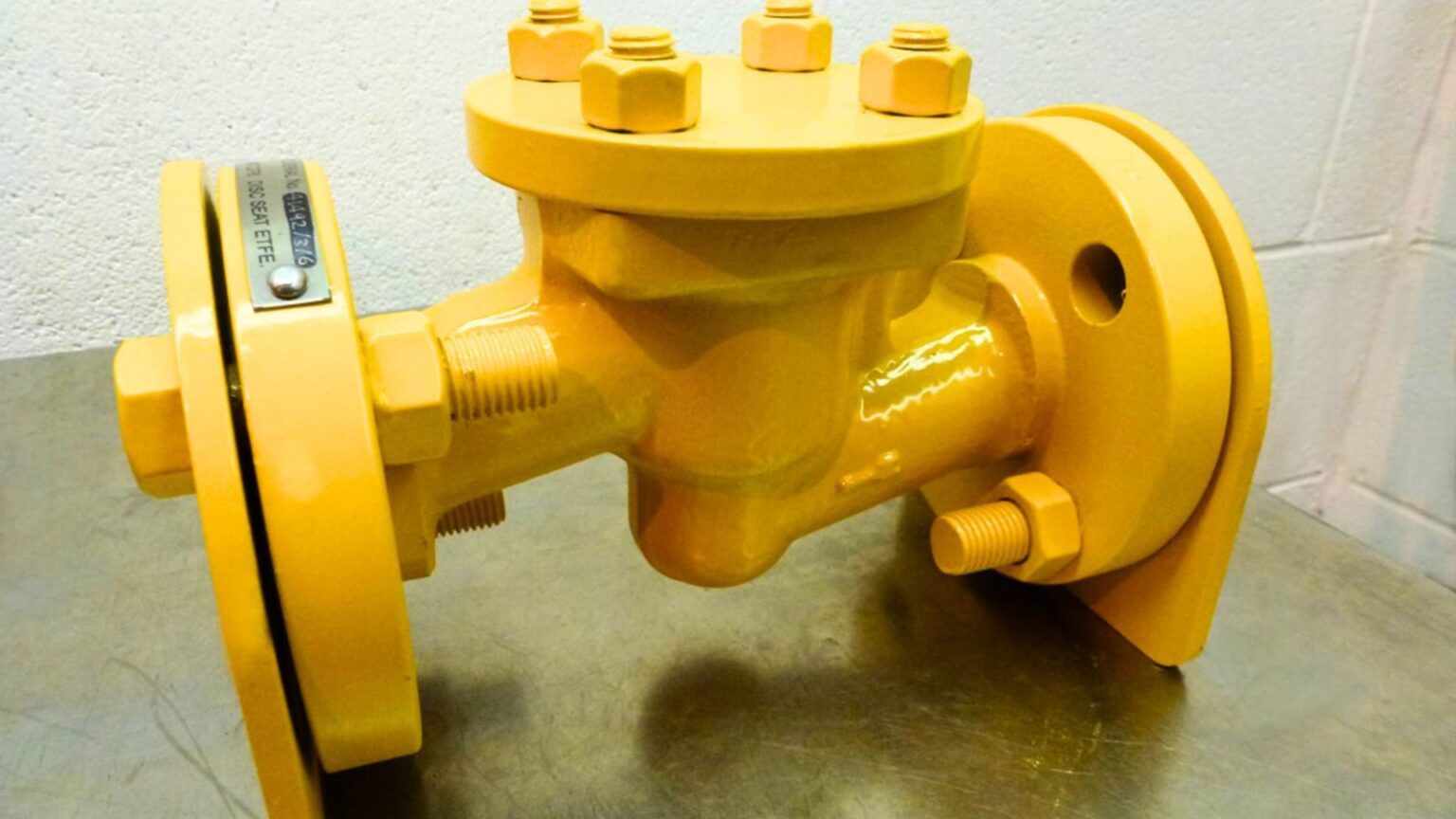 What is a Check Valve? | Ultimate Guide for Engineers & Procurement Professionals