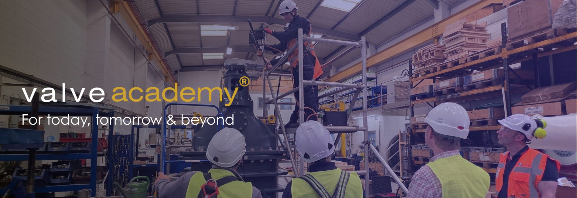 Blackhall valveacademy