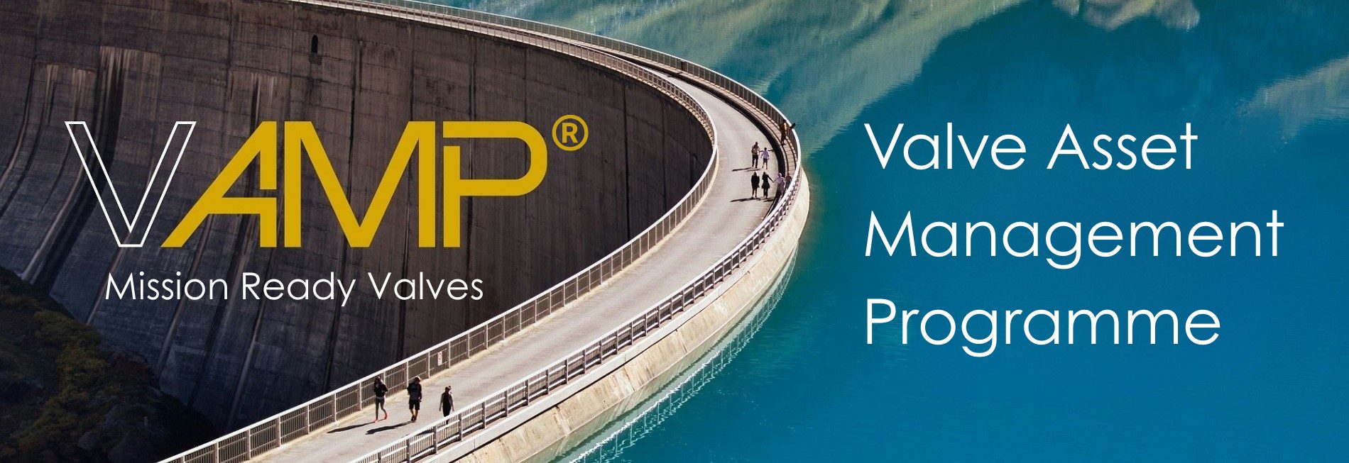 Blackhall Valve asset management programme