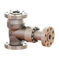 Automatic Recirculation Valves