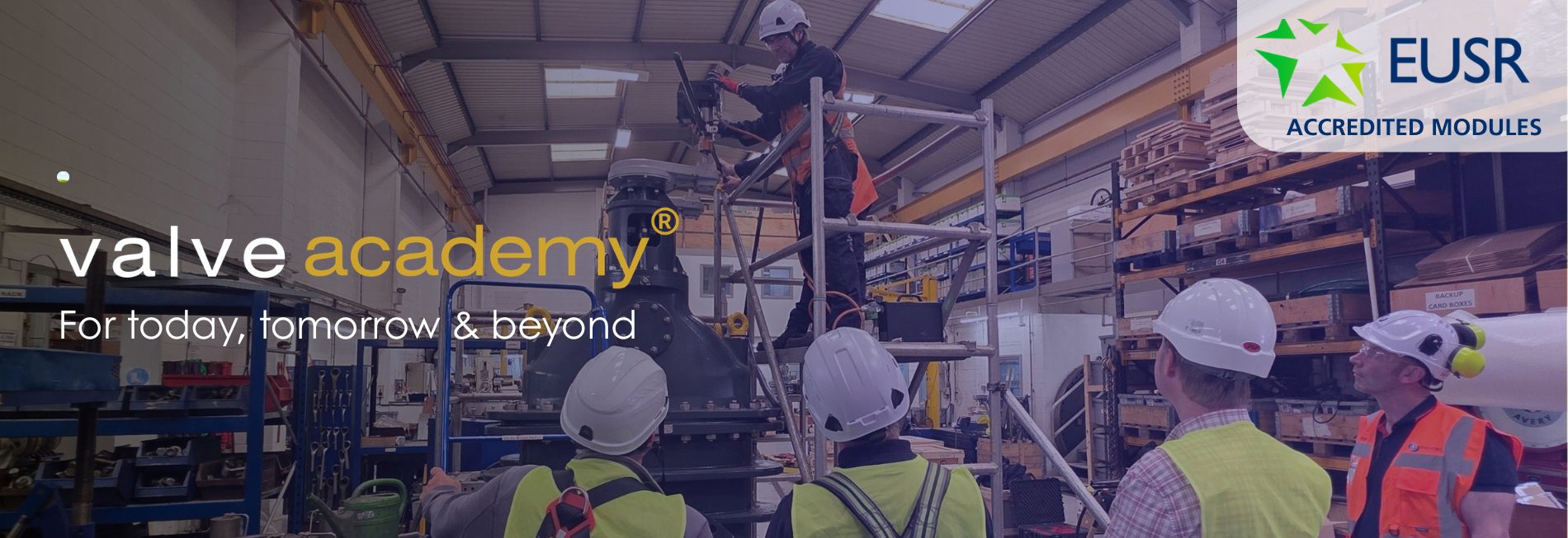 Blackhall valveacademy